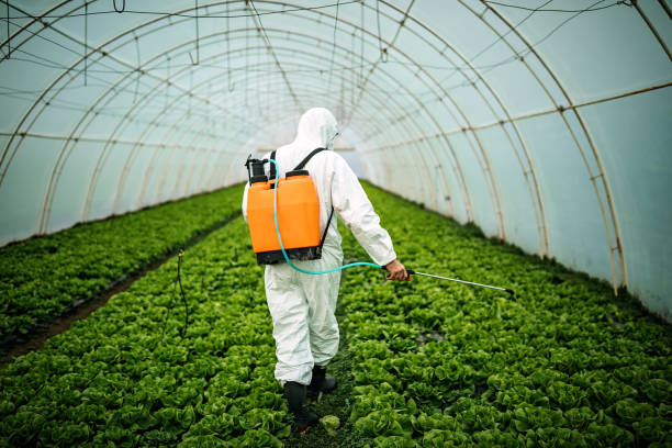 Best Pest Control for Businesses  in West Rson, CA