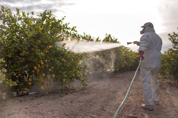 Best Emergency Pest Control  in West Rson, CA