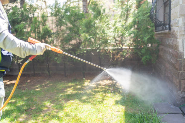 Best Pest Inspection Near Me  in West Rson, CA