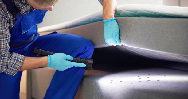 Best Affordable Pest Control Services  in West Rson, CA