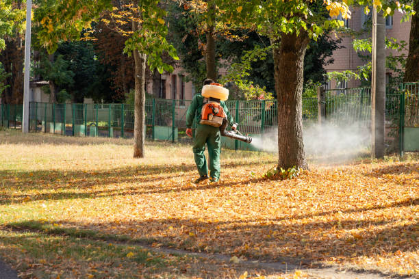 Best Wildlife Control Services  in West Rson, CA