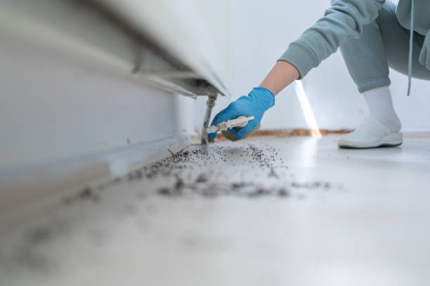 Best Commercial Pest Control Services  in West Rson, CA